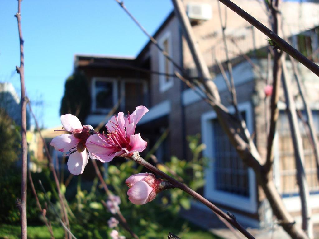 La Demorada Bed and Breakfast San Antonio de Areco Esterno foto